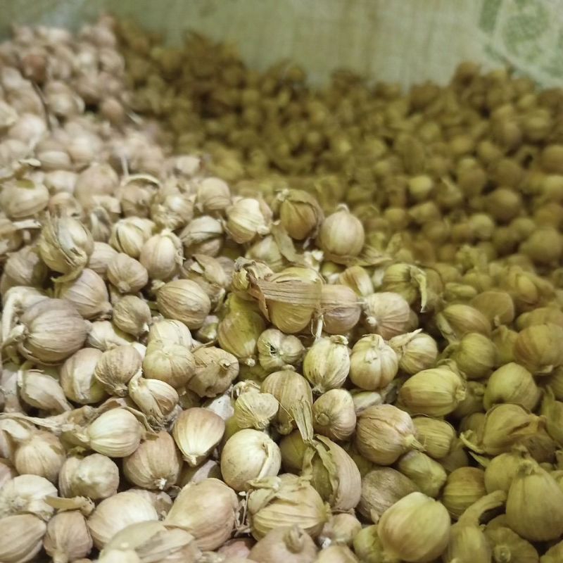 

kapulaga kering 1kg