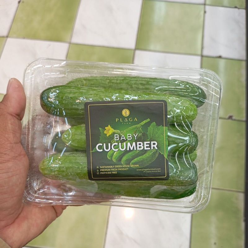 

BABY Cucumber hidroponik 250 gram