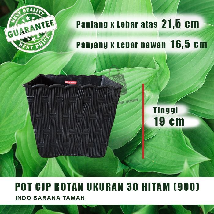 POT CJP ROTAN 30 HITAM Pot Kotak Pot Segi Pot Tanaman Pot Bunga Grosir Pot Plastik Perlengkapan Kebu