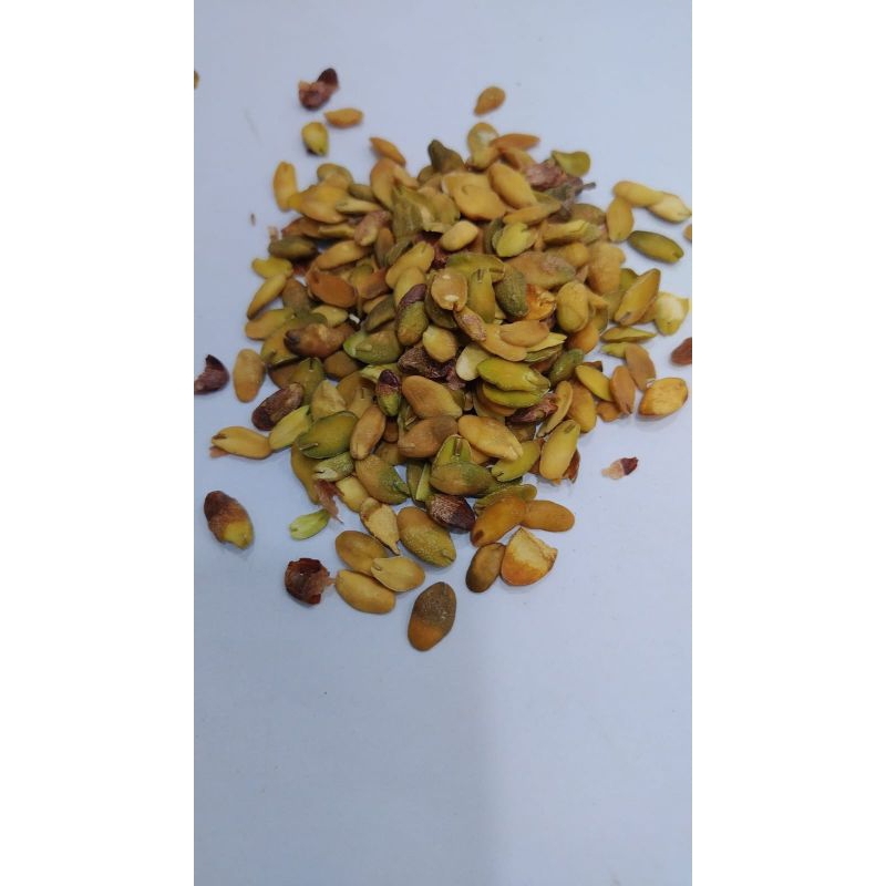 

300 G GR GRAM 黄皮果核 HUANG PI GUO HE WAMPEE SEED