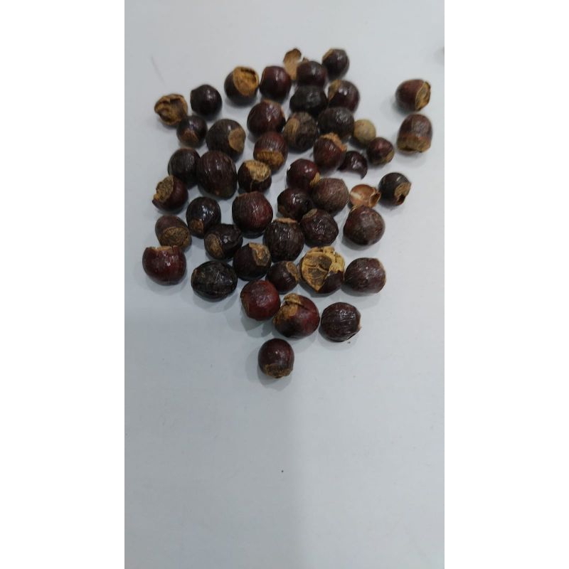 

10 G 50 GR 100 GRAM 龙眼核 LONG YAN HE LONGAN SEED SEEDS BIJI LENGKENG