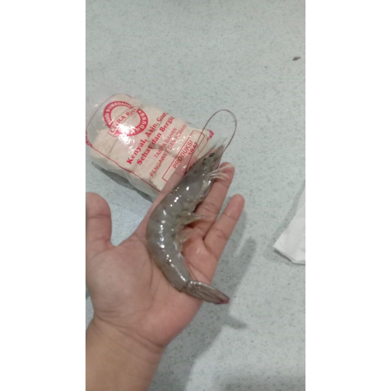 

udang size jumbo