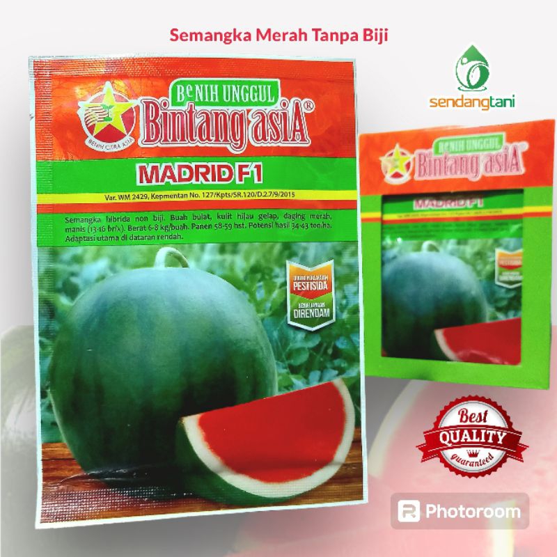 Semangka Non Biji MADRID F1 20 gr Benih Bibit Seedles Merah Tanpa Biji BCA Bintang Asia