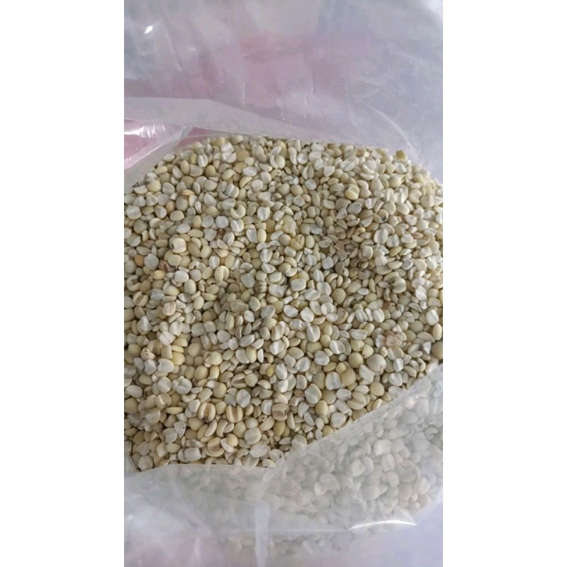 

jali untuk panas dalam 100gr