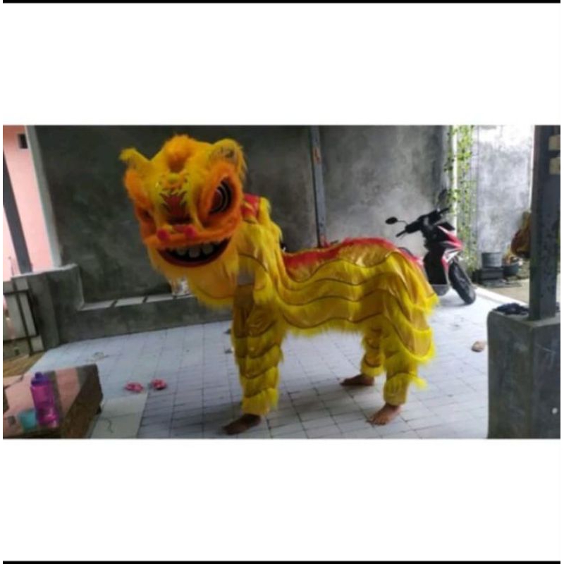 Barongsai remaja/dewasa (60x50x45cm), kelopak berkedip,mata nyala,jubah 1,5 meter