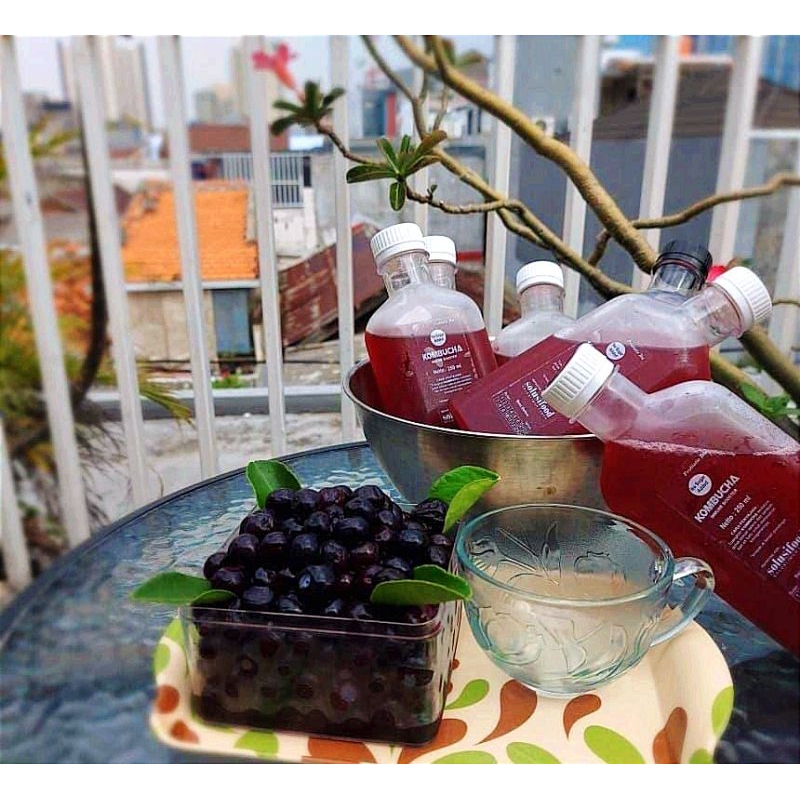 

Kombucha Tea Fermentasi Original Free Sugar Diet Sehat
