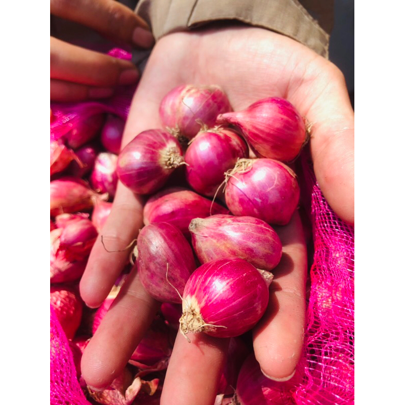 

BAWANG MERAH SUPER NGANJUK 1KG