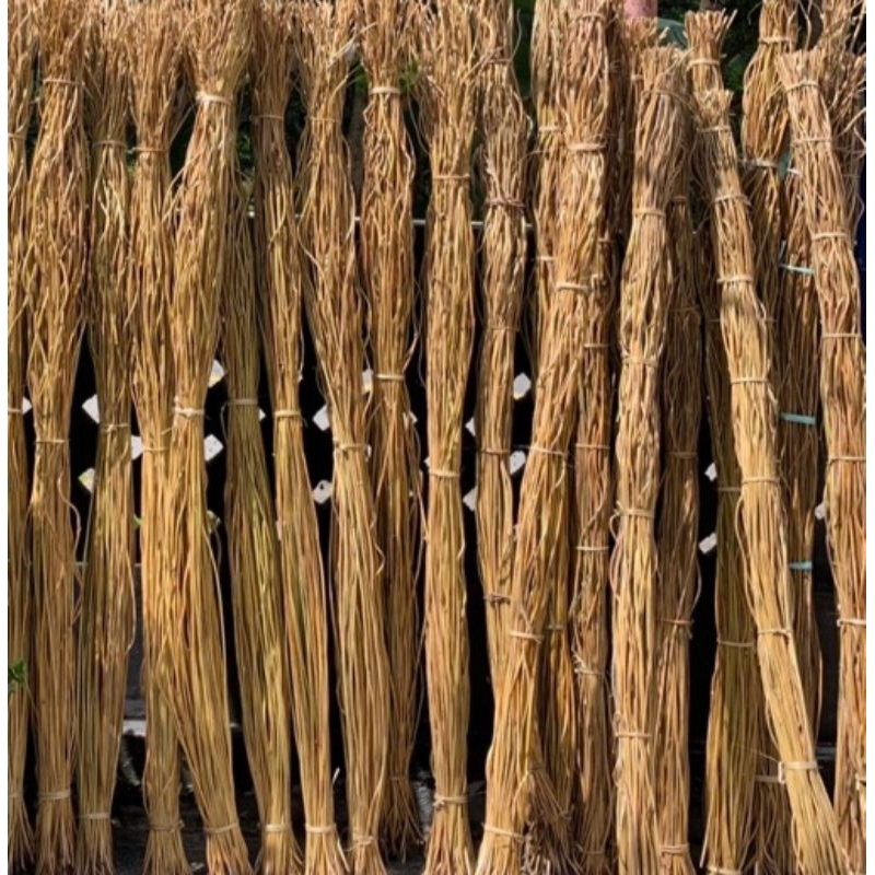 AKAR RESAM AKAR MANON 100 BTG PANJANG 120 CM