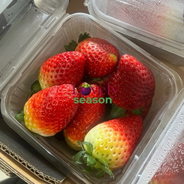 

Strawberry Aussie 250gr