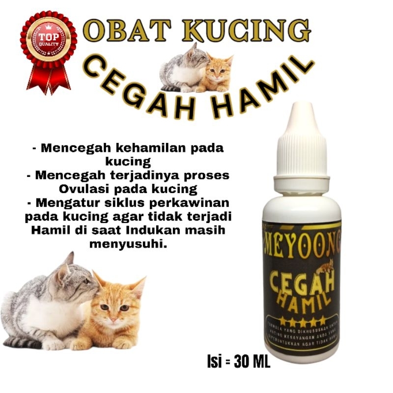 Vitamin Cegah Kehamilan Kucing || Meyoong Anti Hamil kucing 30ml
