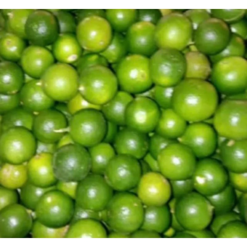 

jeruk lemon cuy