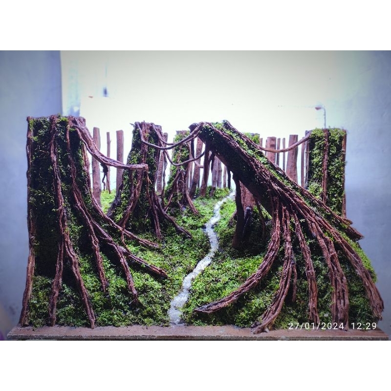 Hardscape jungle aquascape sudah siap pakai  sudah diplanting mossjava  buat tank 60.30.35.cm