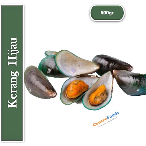 

Kerang Hijau - Kerang Hijau Cangkang Fresh | 500gr [ Harga Per 0,5 Kg ]