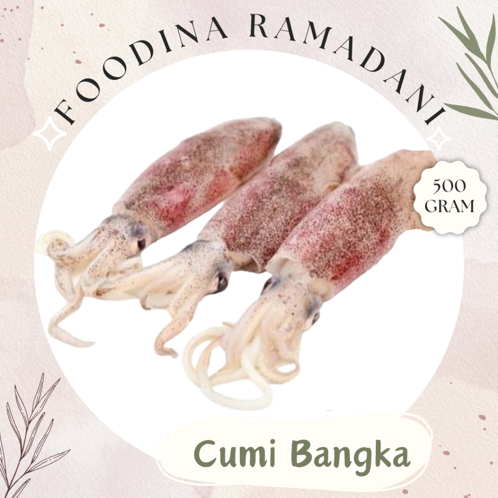 

CUMI Bangka - Squid Fresh [ Size M/L Berat 500gr ] Harga Per 0,5 Kg