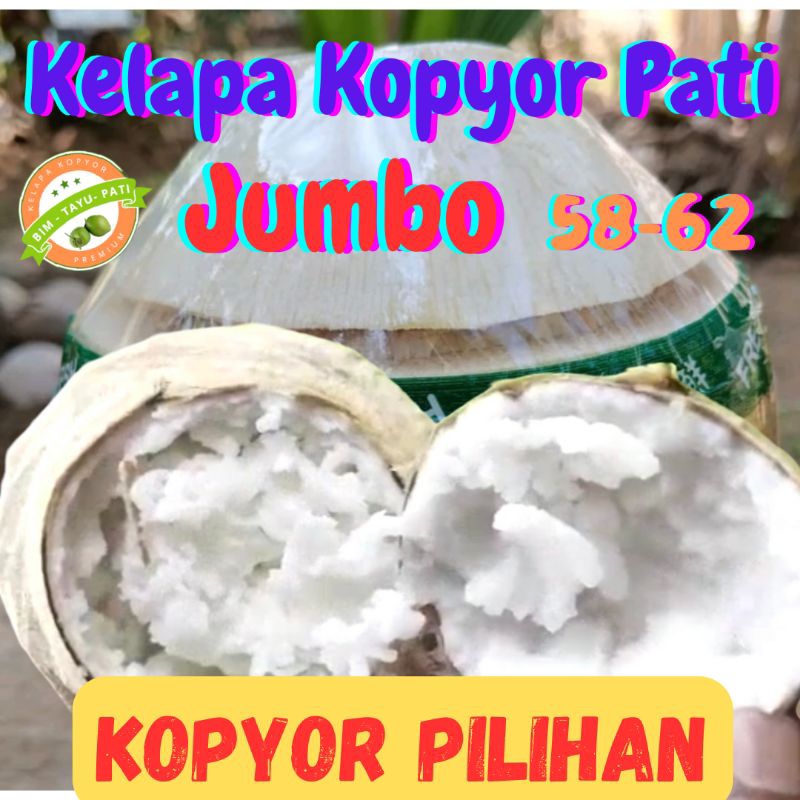 

Kelapa Kopyor (uk: 58-62) JUMBO