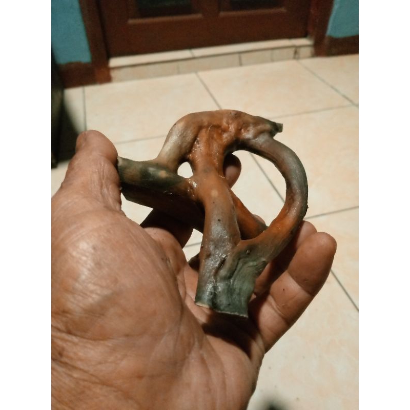 akar mimang pjangan kayu tlogosari