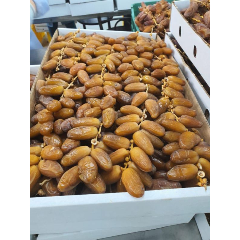 

Kurma Tunisia Tangkai 500g REPACK