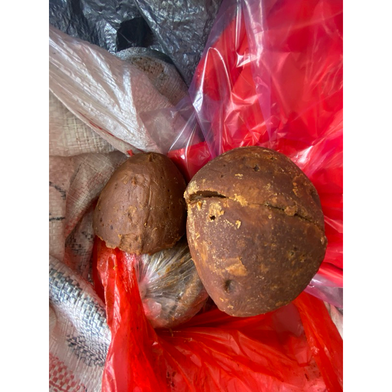

Gula Aren Sulawasi asli