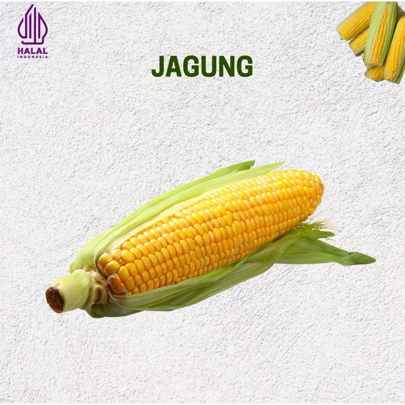

jagung / jagung manis / Jual Sayur Sidoarjo
