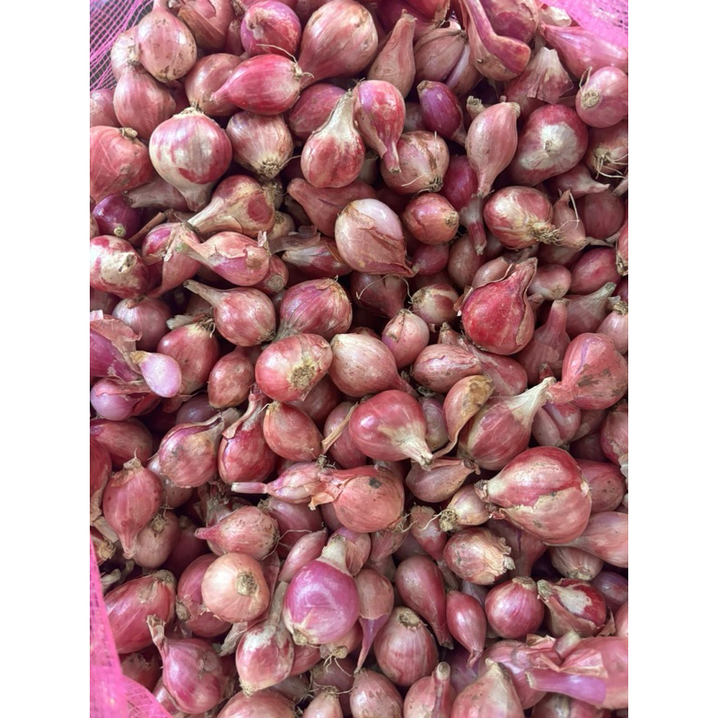 

BAWANG MERAH 1KG FREE BAWANG PUTIH KATING 250GRAM
