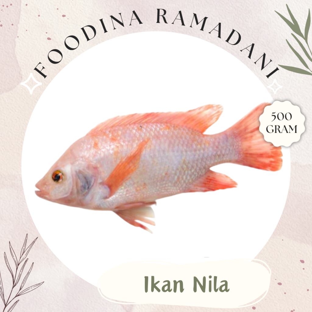 

IKAN NILA Merah - Tilapia Fish Fresh [ 500gr ] Harga Per 0,5 Kg