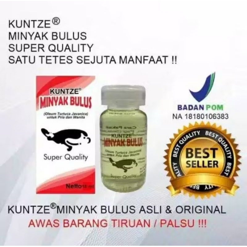 Minyak Bulus Original Kuntze