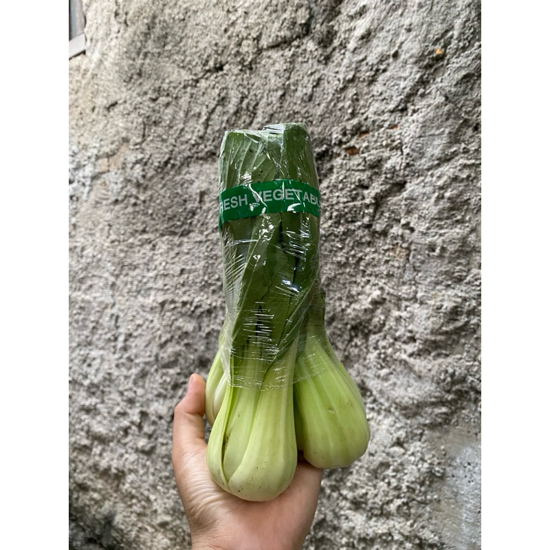 

sawi pokcoy