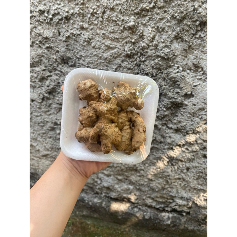 

KIRIM ISNTAN JAHE MURAH