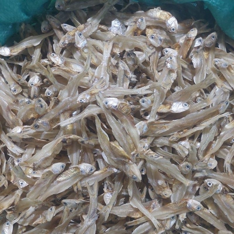 

Teri Padang/ teri tawar kualitas super dan premium