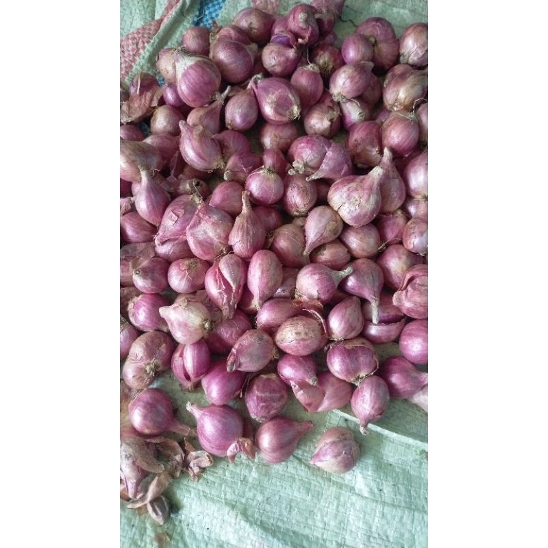 

bawang merah lokal nganjuk 1 kg bawang kiloan bamer murah bamer promo obral bawang merah