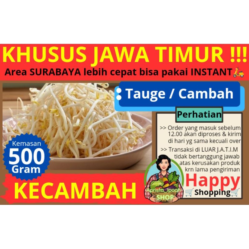 

Kecambah / Tauge