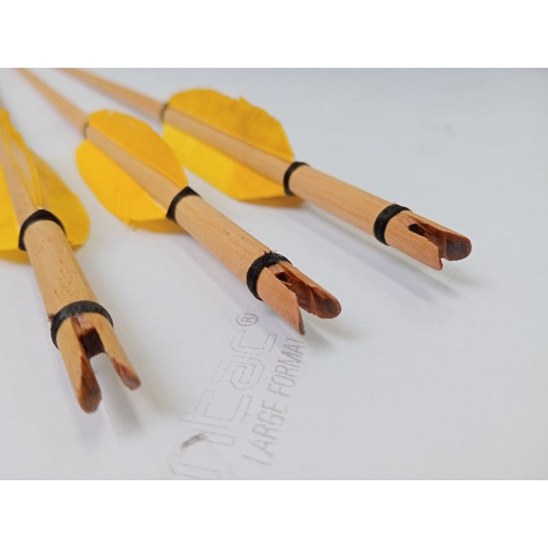 Arrow Ramin Bulu Entok (6 pcs)(Dewasa)