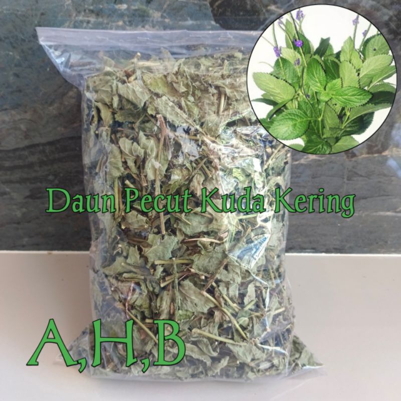 

Daun Pecut Kuda Kering Isi Per 500 Gram