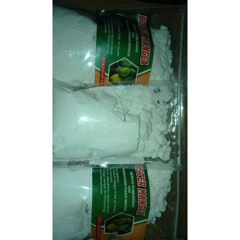 Boster Mangga untuk membuahkan