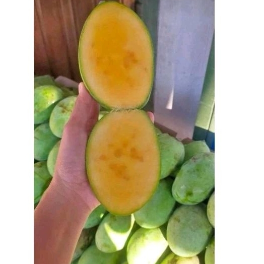 

Mangga Manalagi 1 kg