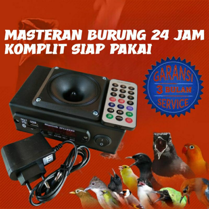 Mentoring Mp3 Pemasteran Masteran Mastering Burung Kicau Lomba Gantangan Murai Batu Cucak ijo Cak ij