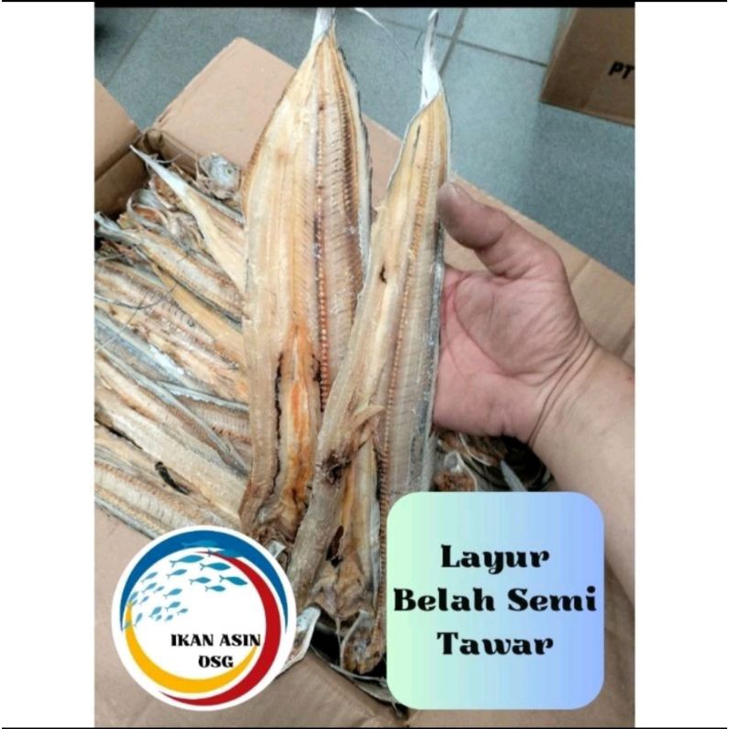 

Layur Belah Semi Tawar