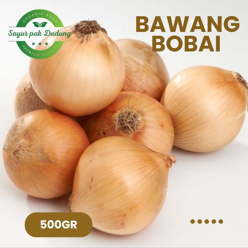 

bawang bombai fresh 500gr bawang Bombay