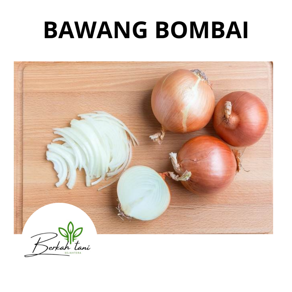 

BAWANG BOMBAI PERKILO