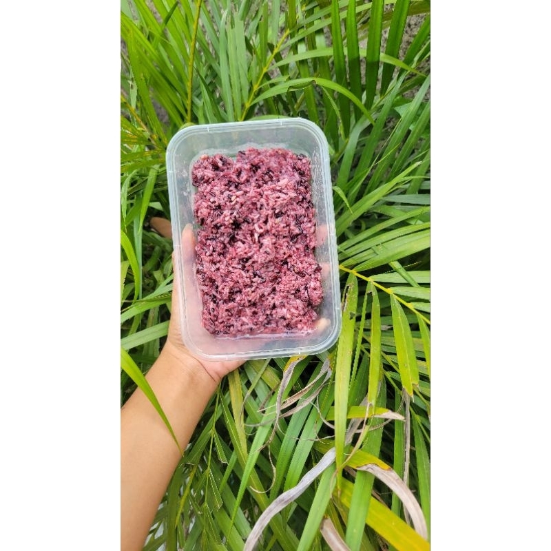 

Tape ketan Khas Karawang Daun Jambu isi 10 Pcs per Pack