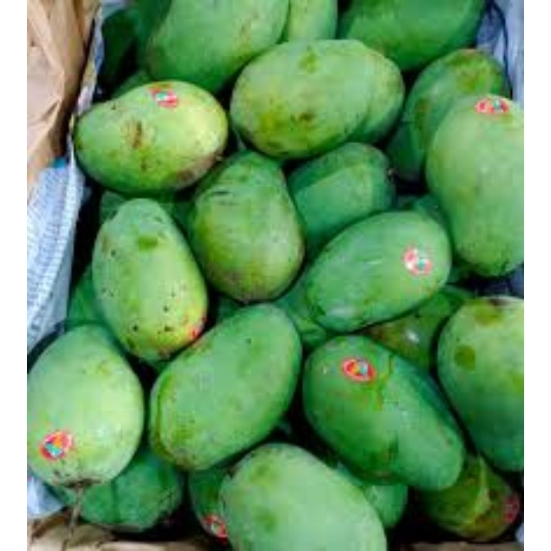

mangga harum manis 1000g