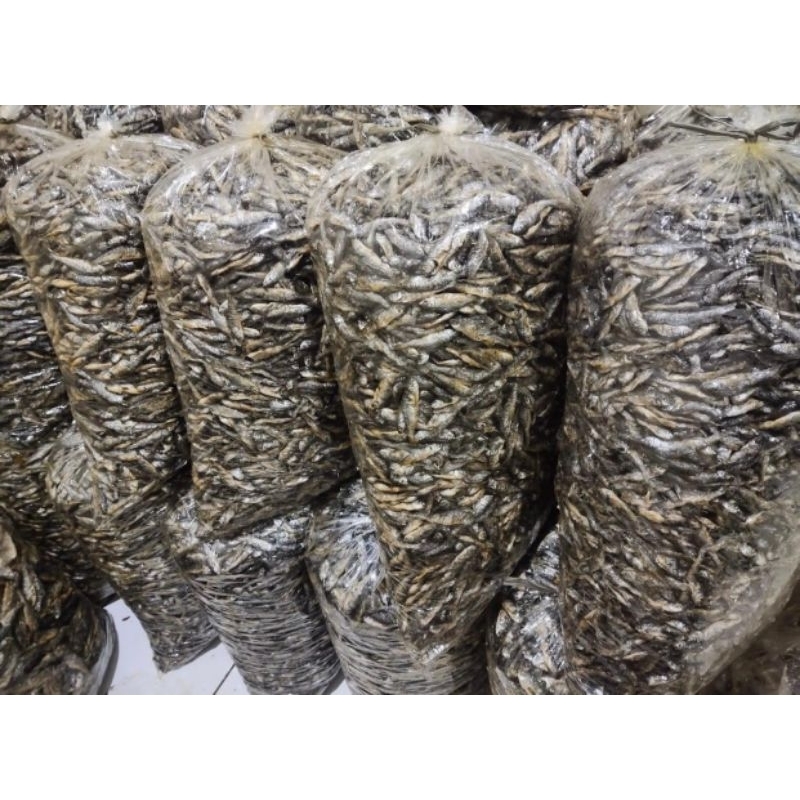 

Ikan bilih /ikan danau ,kwalitas super