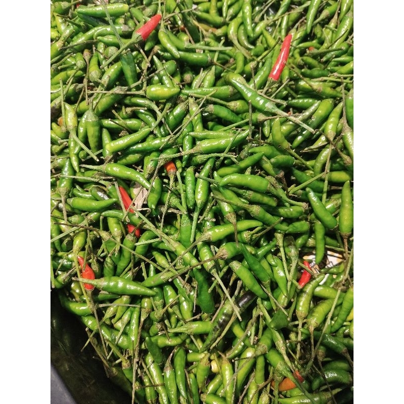

Cabe rawit hijau 1 ons atau 100 gr