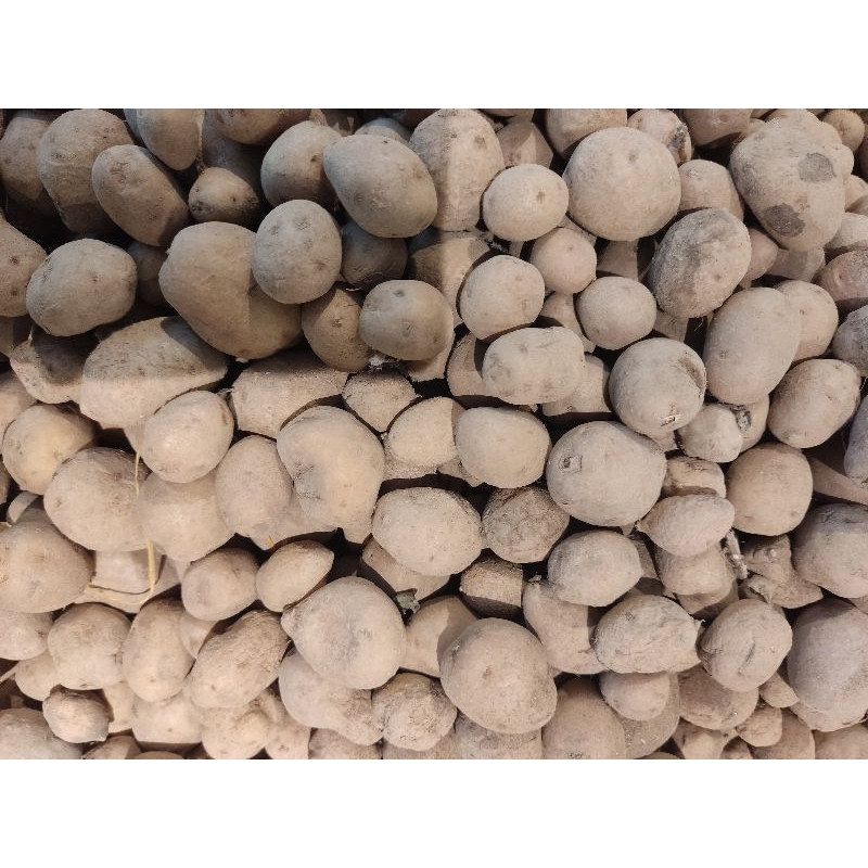 

Kentang rendang kecil