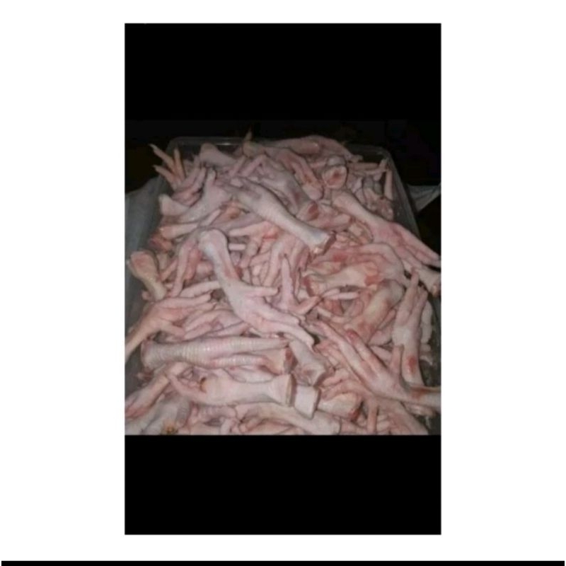 

Ceker Curah Frozen Ada Kulit Kuku