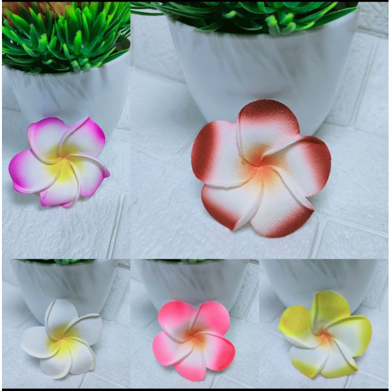 Bunga Jepun bali Bijian Bunga Kamboja