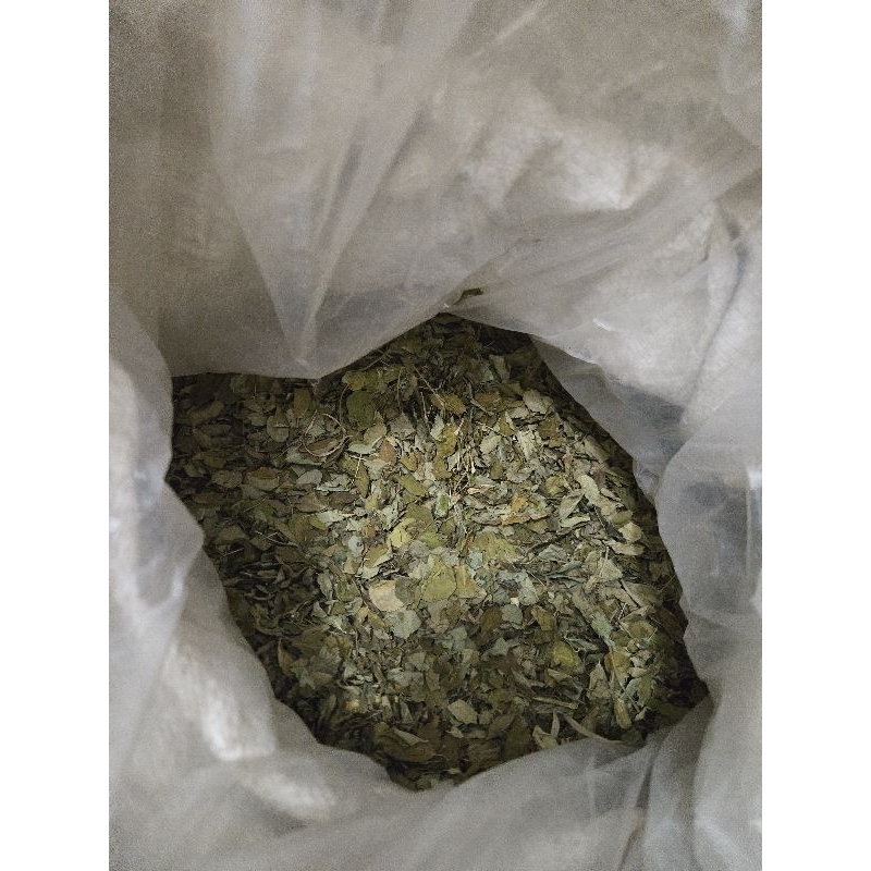 

Teh Daun kelor kering 100% alami bagus untuk kesehatan