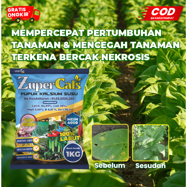 Zupercals Pupuk Kalsium+Boron Pelebat Daun Tembakau, Perlebar Daun, Percepat Pertumbuhan Anti Kuning