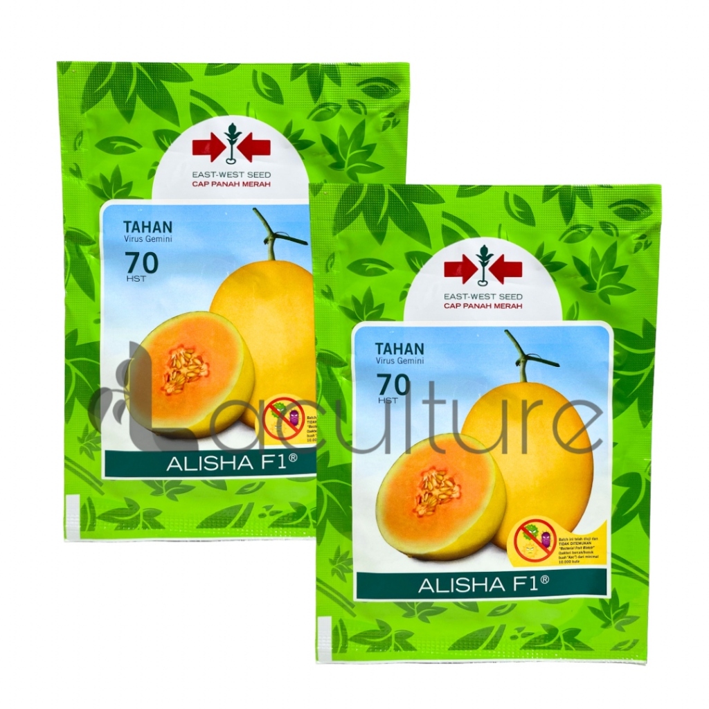 Benih Melon Golden Alisha F1 Isi 100 Butir