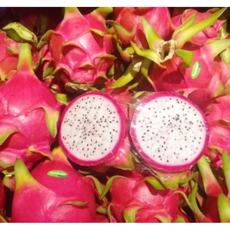 

Buah Naga Putih Super Premium 5 Kg / Box